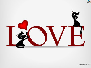 Cats love heart black fur - a heart free wallpaper for desktop