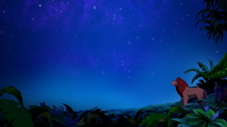 Lion jungle night sky stars - firefly free wallpaper