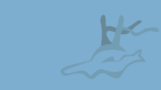 Blue background bird flying sky 2 - figurativism free wallpaper