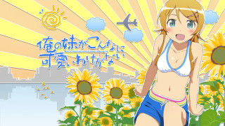 Woman bikini sunflowers city plane - overhead free wallpaper