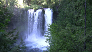 Waterfall forest trees man standing - the side of the waterfall free wallpaper