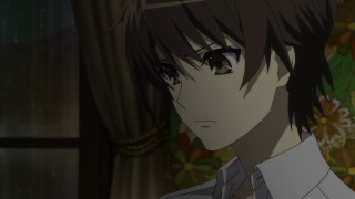 Man tie glasses room flowers - ufotable free wallpaper