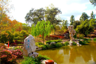 Pond trees flowers park statue - a park area free wallpaper