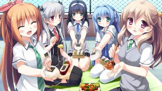 Girls sitting eating food drinking - a group of girls free wallpaper