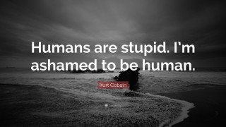 Beach man quote stuckism grunge - stupid free wallpaper