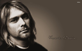 Serious man long hair beard - the side of his face free wallpaper