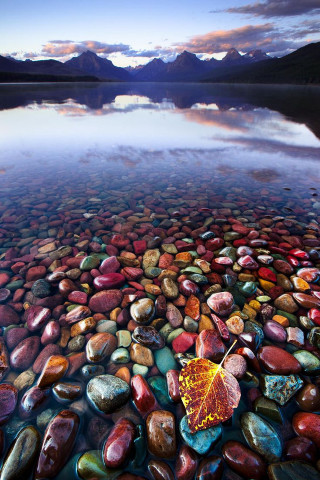 Leaf rock water mountain lake - a rock free wallpaper
