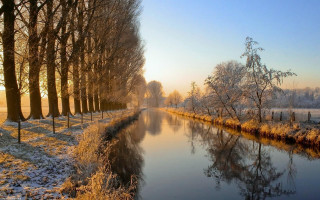 River snow park forest trees - tree and grass free wallpaper