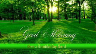 Green field trees grass good 2 - the word good morning free wallpaper