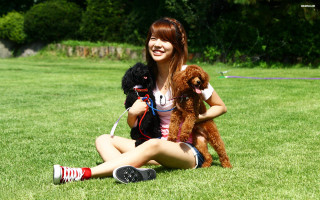 Woman dogs grass cellphone camera - her hand and a camera free wallpaper