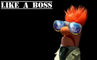 Stuffed animal sunglasses close up - sunglass free wallpaper