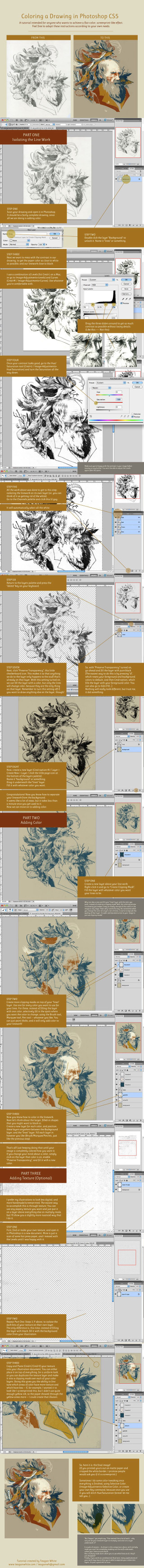 Large poster different types lines - different color free wallpaper