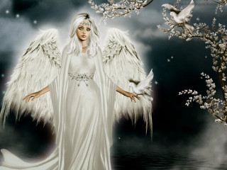 White angel wings feathers dress - white wing free wallpaper
