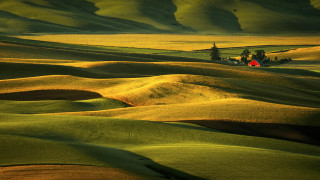 Green field red house hills - an impressionist painting free wallpaper for desktop