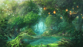 Forest stream trees man standing - the middle of the forest free wallpaper