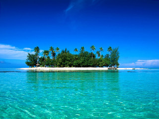 Small island palm trees blue 2 - a small island free wallpaper