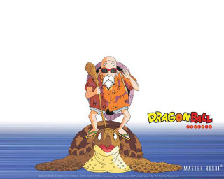 Cartoon character turtle paddle hat - akira toriyama free wallpaper