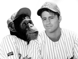 Man monkey baseball uniforms posing - primitivism free wallpaper