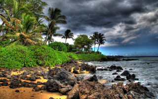 Beach rocks palm trees cloudy - a dark sky above free wallpaper