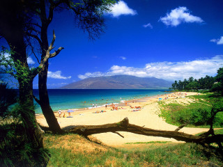 Beach tree people mountain background 2 - beautiful free wallpaper for desktop