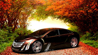 Car parked road trees background - matte drawing free wallpaper