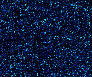 Blue background speckles black background - kinetic free wallpaper