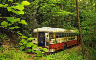 Old bus woods sitting in 2 - the wood free wallpaper for desktop