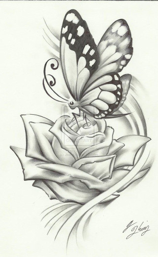 Butterfly rose swirly background outline - a rose free wallpaper