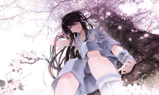 Woman sitting tree branch cherry - a detailed drawing free wallpaper