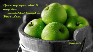 Wooden bucket green apples still - letterism free wallpaper