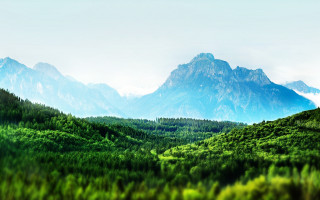 Mountain range forest blue sky - a forest in the foreground free wallpaper