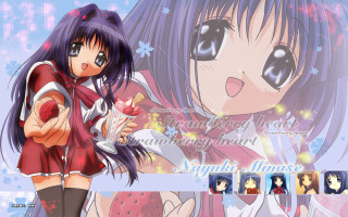 Girl red dress rose blue - a red rose free wallpaper