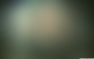 Blurry bird branch distance blurry - volumetric fog free wallpaper