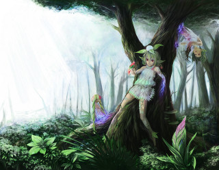 Fairy sitting tree forest light - forest free wallpaper