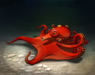 Red octopus laying ground head - its neck free wallpaper