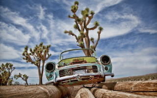 Car parked log desert cactus - art free wallpaper