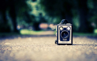 Camera ground road trees blurry - lomography free wallpaper