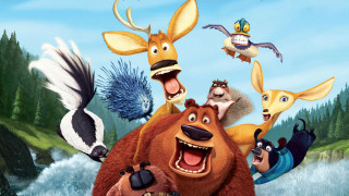 Bear forest animals cartoon bird - many free wallpaper