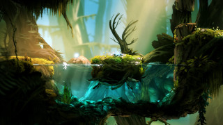 Jungle waterfall forest moss vines - cliff childs free wallpaper