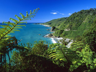 Beach forest hilltop scene nature - a lush green forest free wallpaper