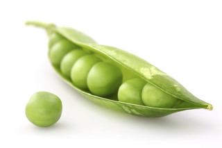 Pea pod two peas white - left free wallpaper