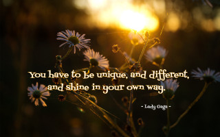 Flower unique different shine quote - free love wallpaper