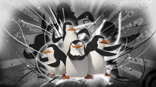 Penguins group black white background - a group of penguins free wallpaper
