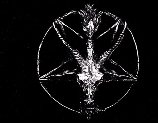 Bird black white pentagramus back - photo of a bird free wallpaper