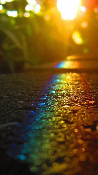 Rainbow street sunlight trees streetlight - the sun free wallpaper