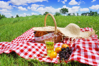 Picnic blanket fruit basket juice - summer free wallpaper