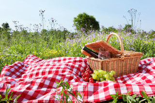 Picnic blanket grapes wine field - a field of flowers free wallpaper