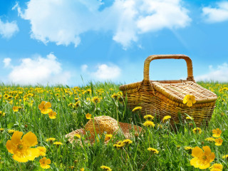 Basket hat field flowers blue - constance copeman free wallpaper
