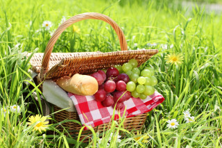 Picnic basket grapes bread daisies - grape free wallpaper