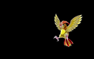 Bird wings dark sky black - the dark sky free wallpaper